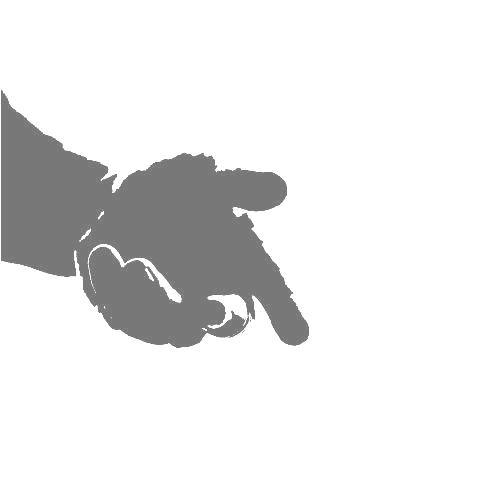 helping_hand_8251.jpg